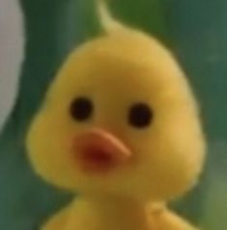 duck huh Discord sticker