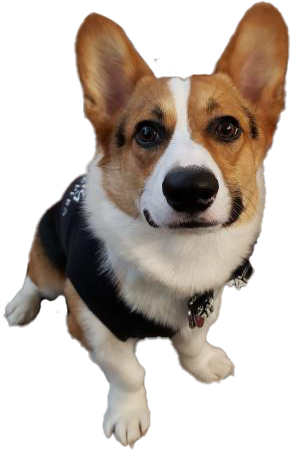 content henry Discord sticker
