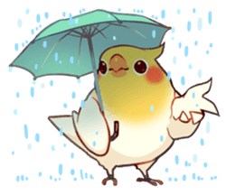 CT_BirdRain Discord sticker