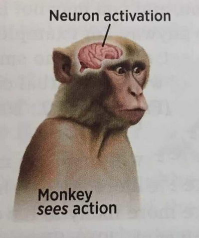 neuron activation Discord sticker