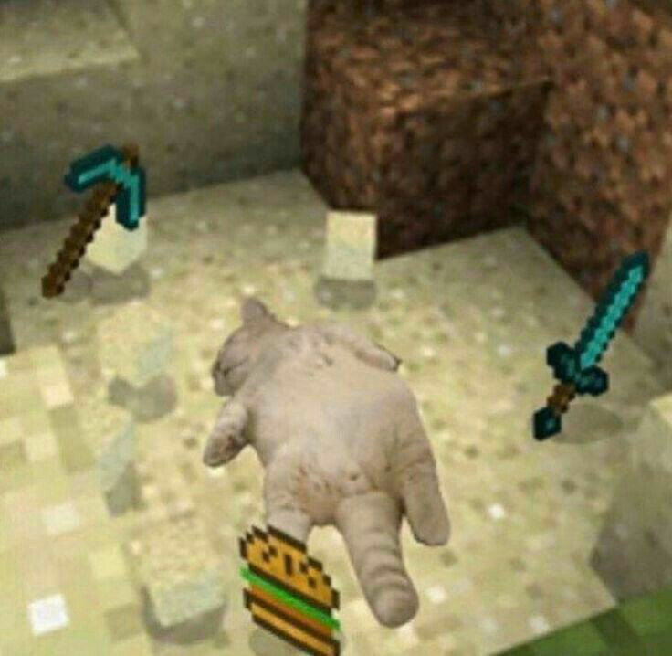 catdie |  gg/rainbow