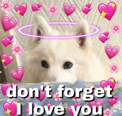 Wholesome: White Doggie Discord sticker