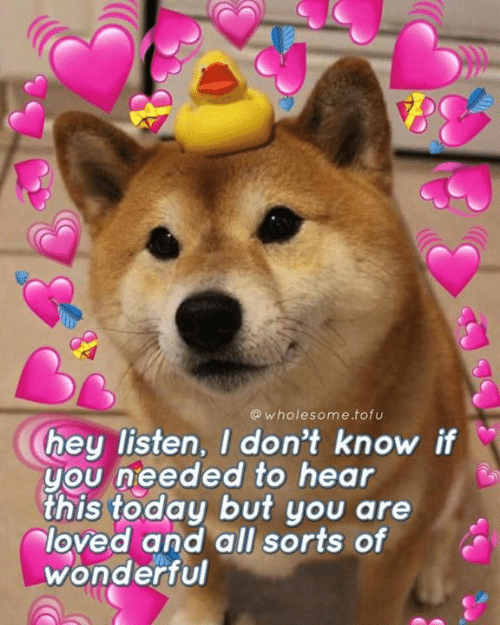 Wholesome: Doggie Duck Hearts Discord sticker