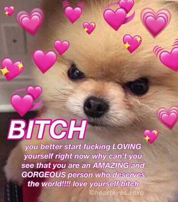 Wholesome Pomeranian: BITCH Discord sticker