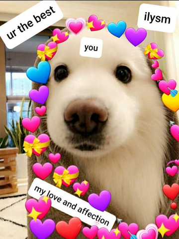 Wholesome: Dog Hearts Ilysm Discord sticker
