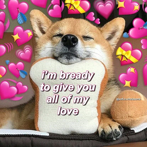 Wholesome: Bread Dog Discord sticker