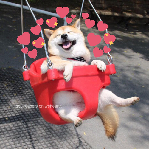 Wholesome: Joyful Dogo Discord sticker