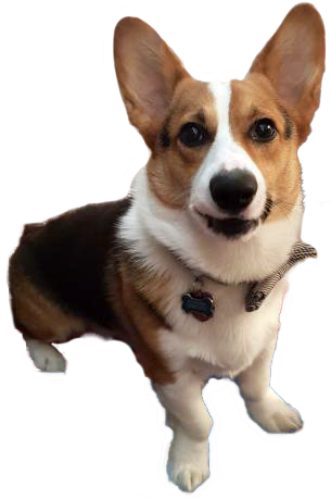 angry henry Discord sticker