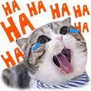 iyalaugh Discord sticker