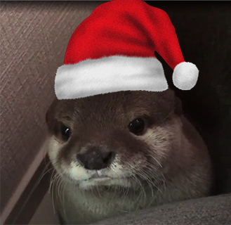 Santa Otter Discord sticker