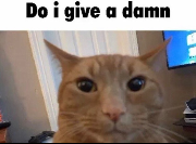 Do i give a damn Discord sticker