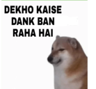 MTC_DANK Discord sticker