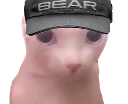 eft_bearngus