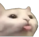 mlem Discord sticker