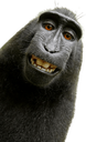 sticker9 Discord sticker