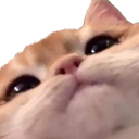 hmm Discord sticker