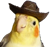 Birb_cowboy
