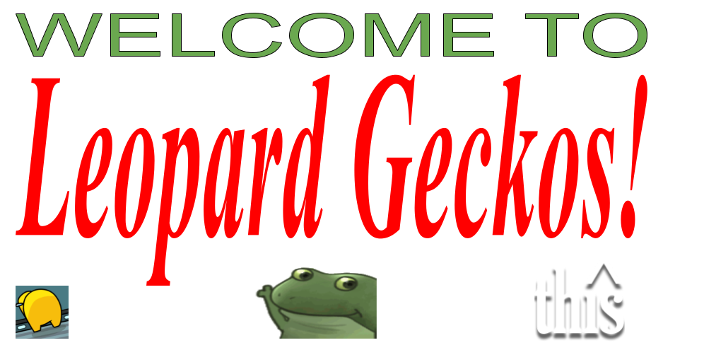 welcome to leopard geckos  Discord sticker
