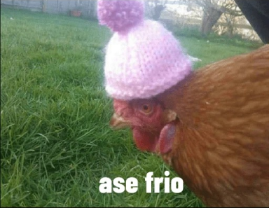Frio Discord sticker