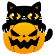 Cat Pumpkin Discord sticker
