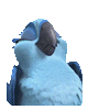 Hello Discord sticker