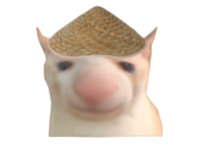 cat mit behinderung Discord sticker