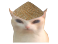 broken cat Discord sticker