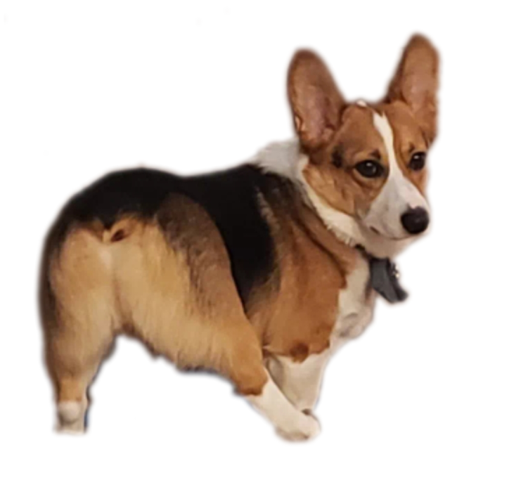 henry booty Discord sticker