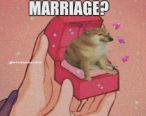 marriage? Discord sticker