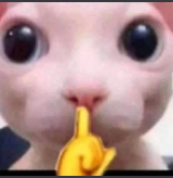 Bingshush Discord sticker