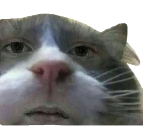Unimpressed Cat Discord sticker