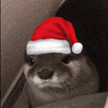 Santa Otter Animated Discord sticker