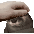 otter pet Discord sticker
