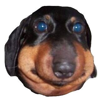 dogbruh Discord sticker