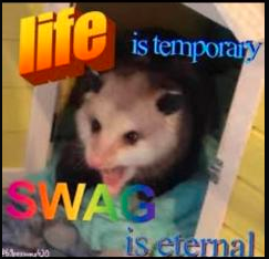 swag always Discord sticker