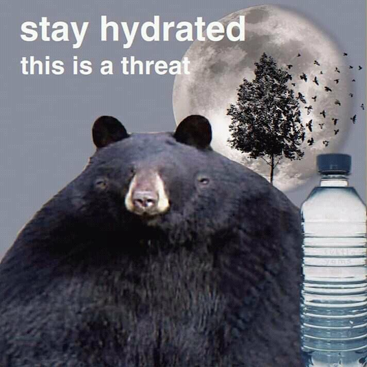 hydration Discord sticker