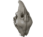 NidusClam Discord sticker