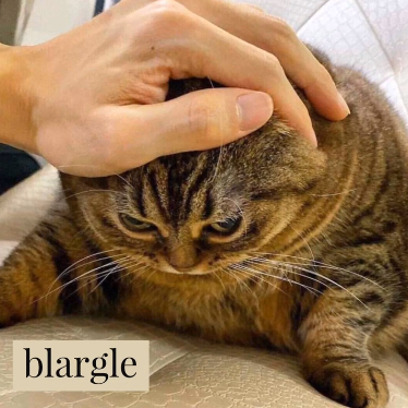 blargle