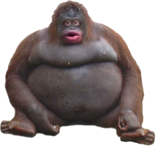 pog Discord sticker