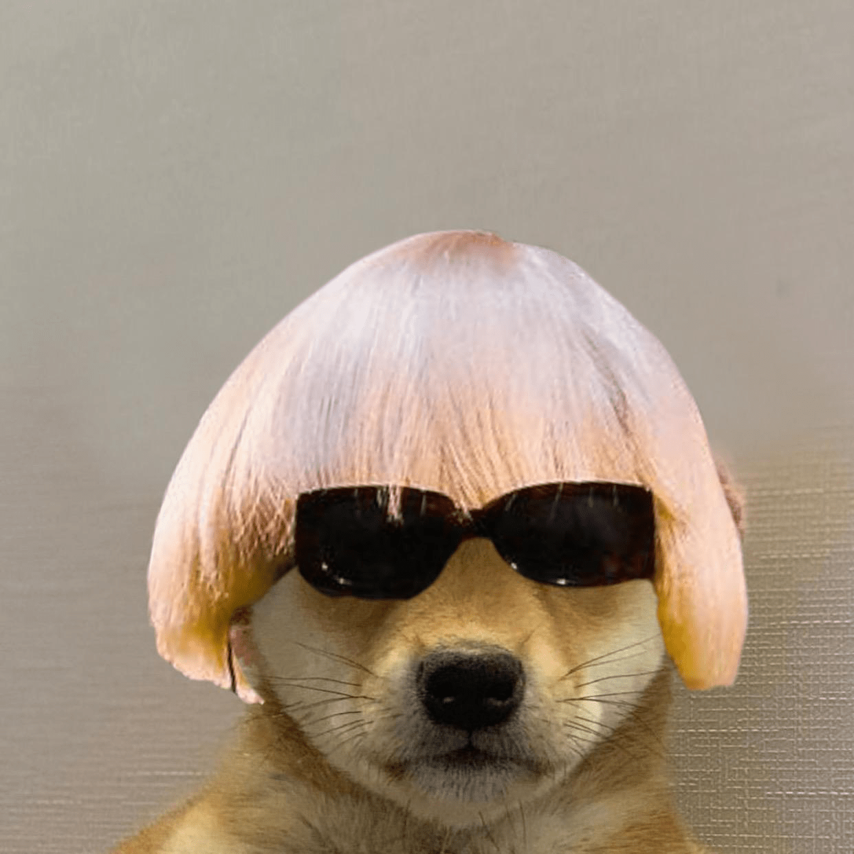 igor dog gg/tyler Discord sticker
