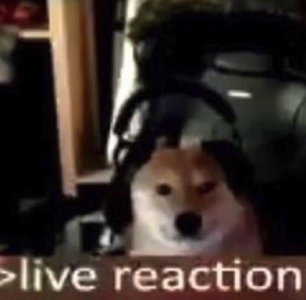 Live reaction
