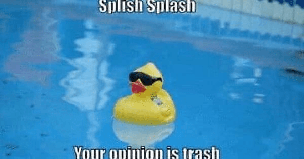 duck bad opinion