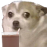 Nervous Sip Discord sticker
