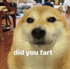 FR_DidYouFart Discord sticker