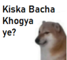 Kiska bacha khogya Discord sticker