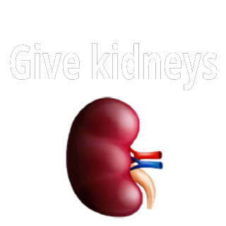Give Kidneys Discord sticker