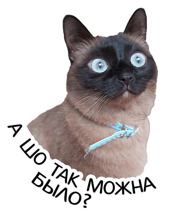 catWhat Discord sticker