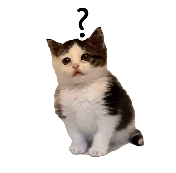 catKavo Discord sticker