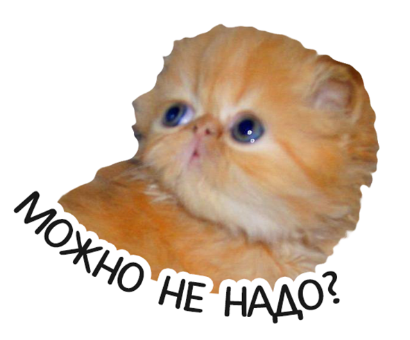 catNo Discord sticker