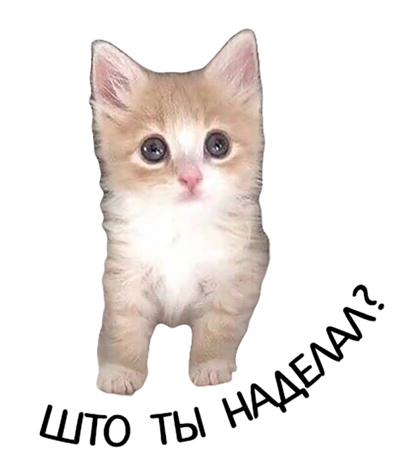 catWhatHaveYouDone Discord sticker